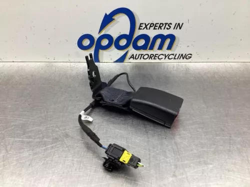 Veiligheidsgordel Insteek links-achter-7613982