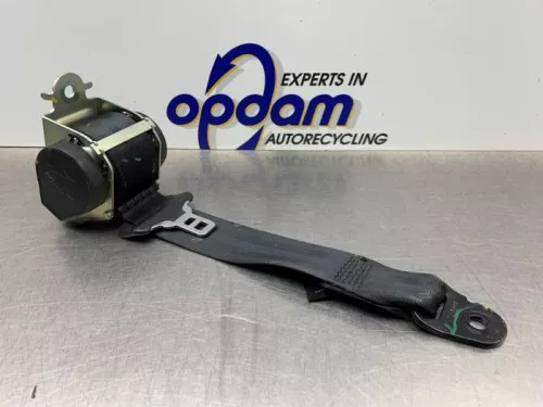 Veiligheidsgordel Insteek links-achter-8150924