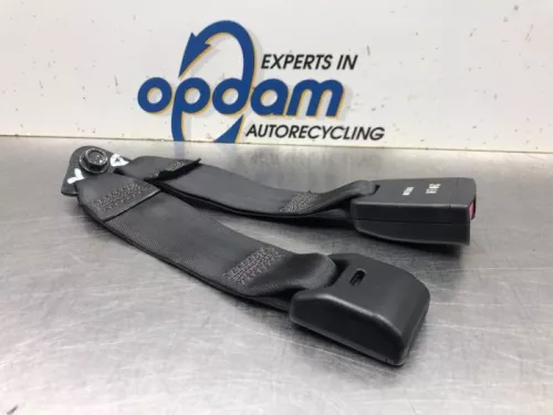 Veiligheidsgordel Insteek links-achter-8093761