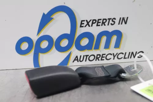 Veiligheidsgordel Insteek links-achter-7609408