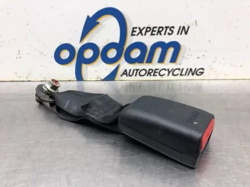 Veiligheidsgordel Insteek midden-achter-8099264