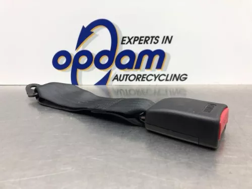 Veiligheidsgordel Insteek midden-achter-8069878