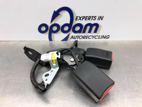 Veiligheidsgordel Insteek rechts-achter-7987764