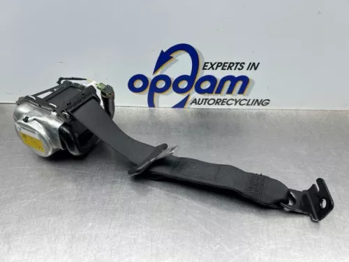 Veiligheidsgordel links-achter-8224794