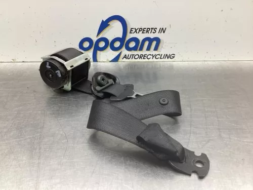 Veiligheidsgordel links-achter-8100000