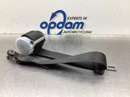 Veiligheidsgordel links-achter-7940465