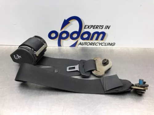 Veiligheidsgordel links-achter-8254358