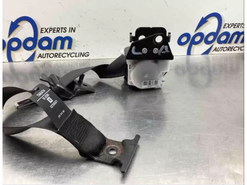 Veiligheidsgordel links-achter-8026919