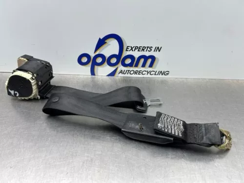 Veiligheidsgordel links-achter-8321660