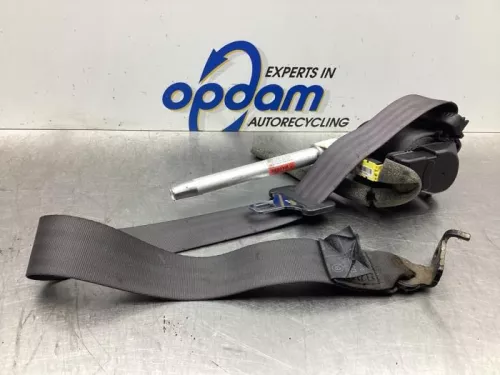 Veiligheidsgordel links-achter-8029209 Veiligheidsgordel links-achter-8029209