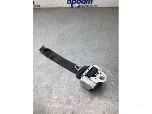 Veiligheidsgordel links-achter-8101067