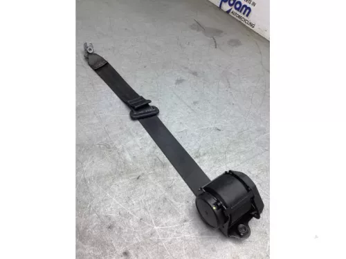 Veiligheidsgordel links-achter-8192634