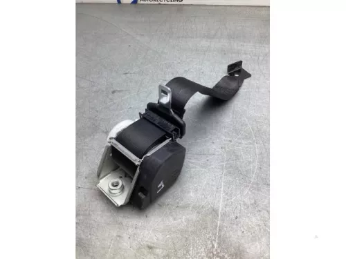 Veiligheidsgordel links-achter-8195037