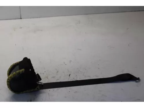 Veiligheidsgordel links-achter-7879073