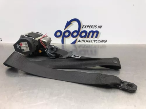 Veiligheidsgordel links-voor-8155436