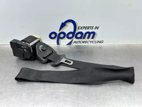 Veiligheidsgordel links-voor-8174298