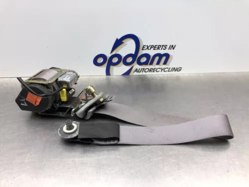 Veiligheidsgordel links-voor-8245392