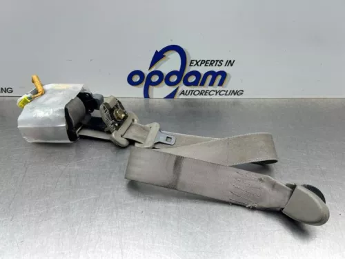 Veiligheidsgordel links-voor-8319915