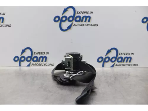 Veiligheidsgordel links-voor-7877533