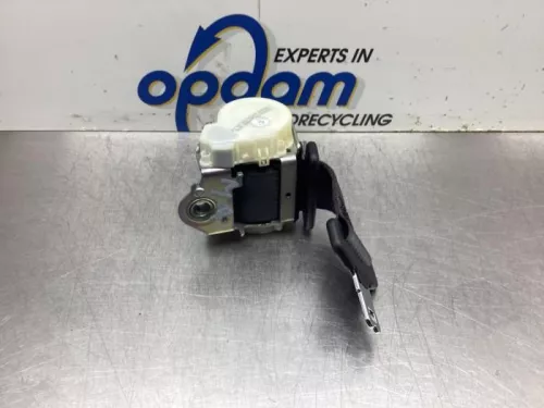 Veiligheidsgordel midden-achter-8091756