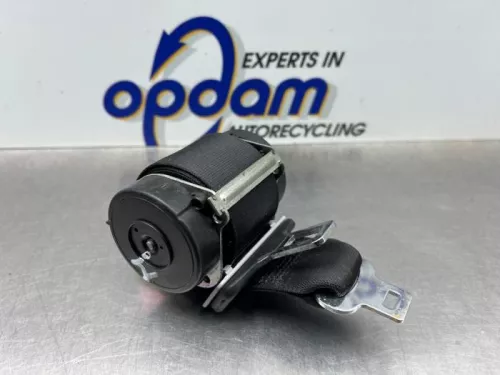 Veiligheidsgordel midden-achter-8118981