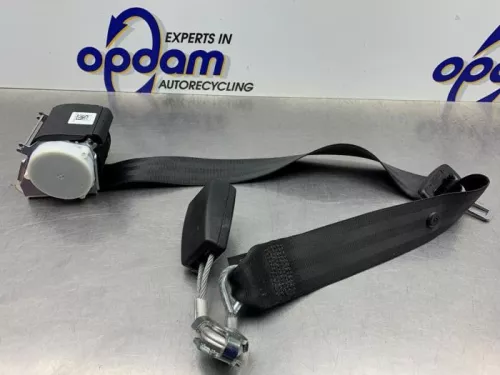 Veiligheidsgordel midden-achter-8195867