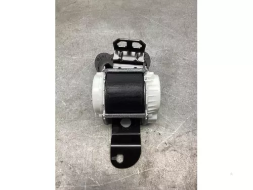 Veiligheidsgordel midden-achter-8071969