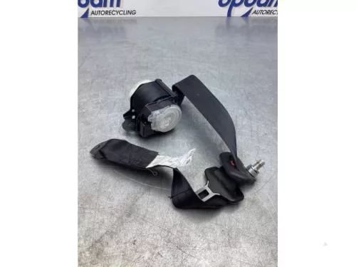 Veiligheidsgordel rechts-achter-7854907