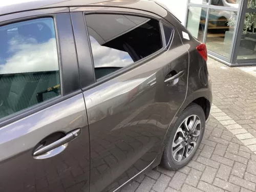 Portier 4Deurs links-achter-8336209