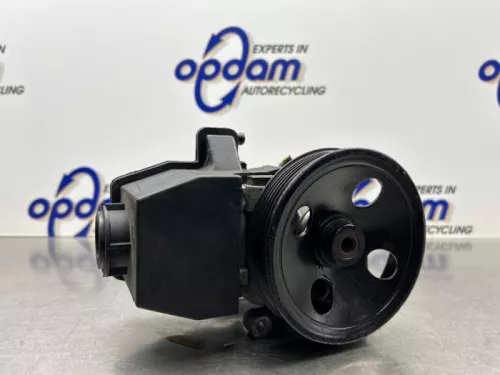 Stuurbekrachtiging Pomp-8316969