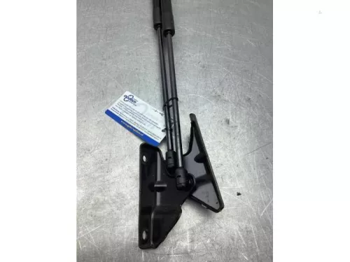 Set Gasdempers Achterklep-8331712