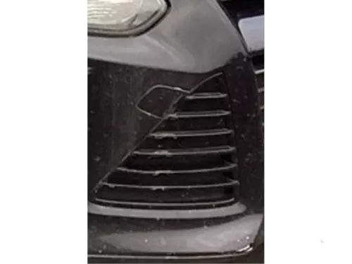 Bumper Rooster-8264708