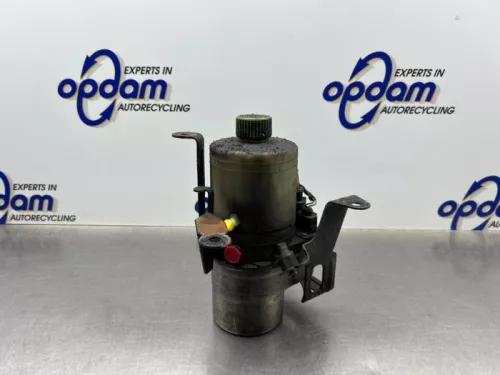 Stuurbekrachtiging Pomp-8334252