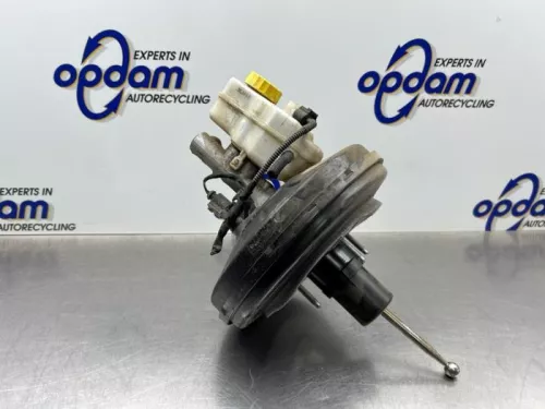 Rembekrachtiger-8049452