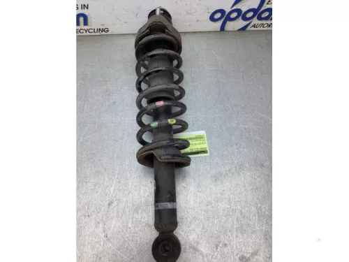 Schokdemperpoot links-achter-8125612