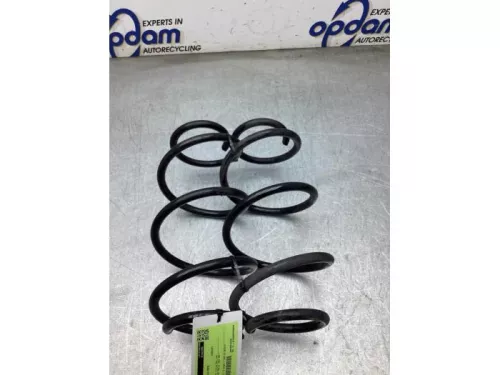 Schroefveer achter-8216329