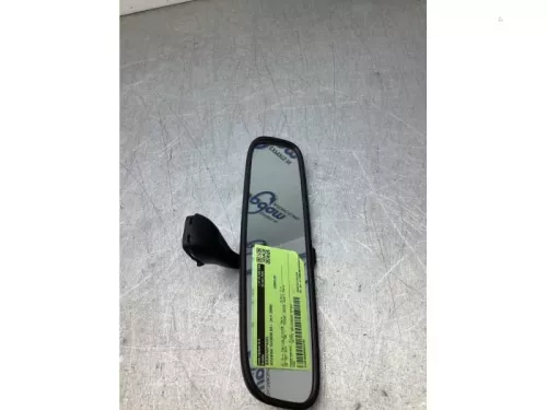 Binnenspiegel-8200033