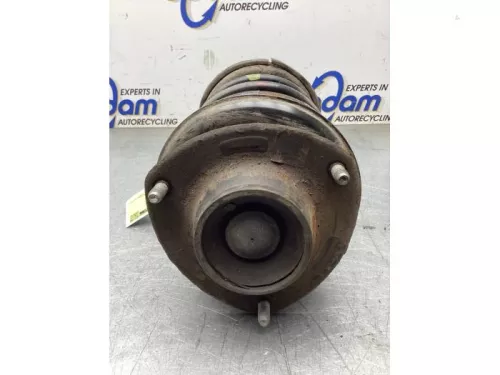 Schokdemperpoot links-voor-8200033