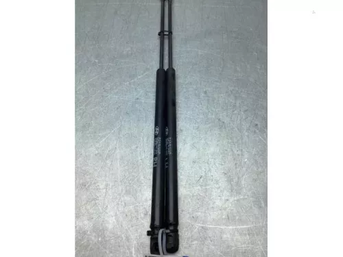 Gasdemperset Kofferdeksel-8206258