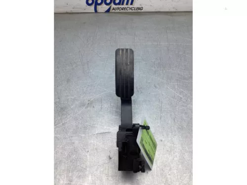 Gaspedaalpositie Sensor-8317697