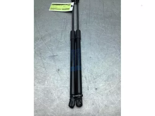 Set Gasdempers Achterklep-8310766