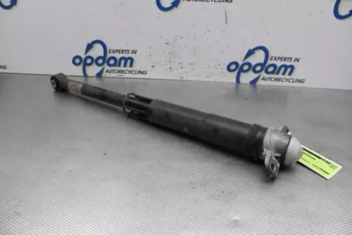 Schokdemper rechts-achter-6746515