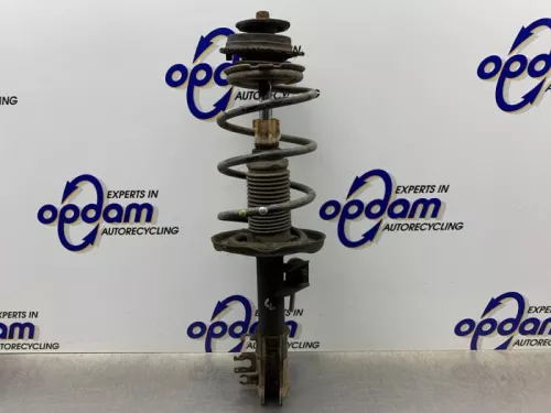 Schokdemperpoot links-voor-8341268