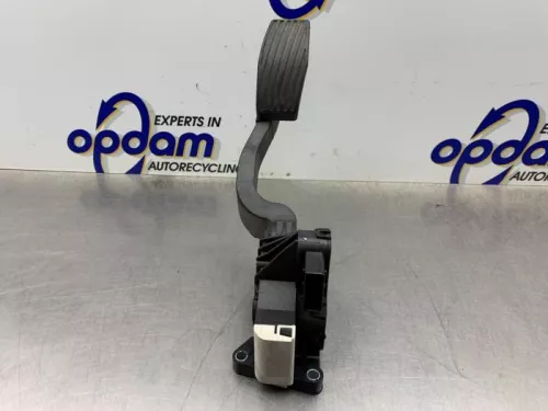 Gaspedaal-8338522