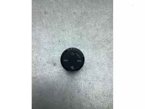 Radiobedienings paneel-8247887