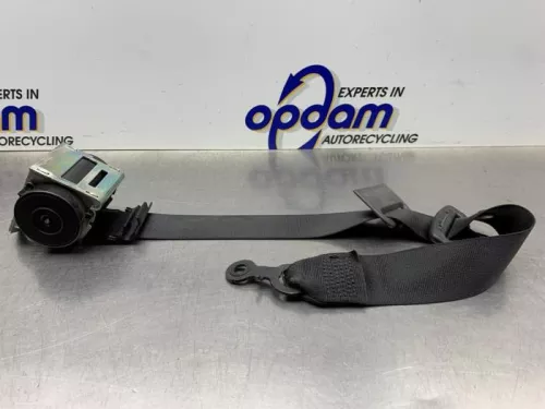 Veiligheidsgordel midden-achter-8247879