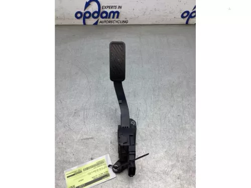 Gaspedaalpositie Sensor-8295328