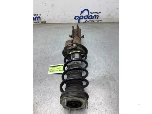 Schokdemperpoot rechts-voor-8295328