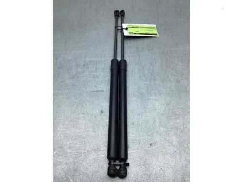 Gasdemperset Kofferdeksel-8242967
