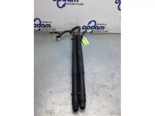 Set Gasdempers Achterklep-8337816